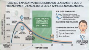 Gráfico explicativo em formato vertical demonstrando claramente que os resultados do preenchimento facial valinhos duram, em média, de 6 a 12 meses no organismo.